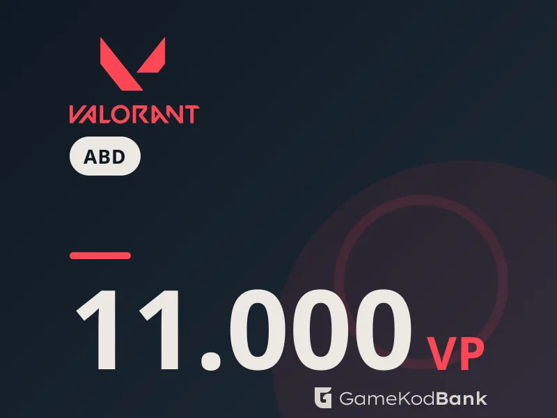 Valorant ABD 11.000 VP